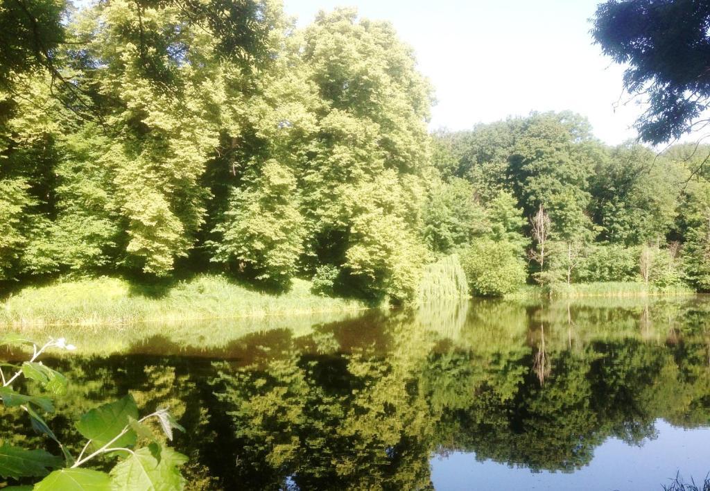 Carmina Am See Karnin  Eksteriør billede